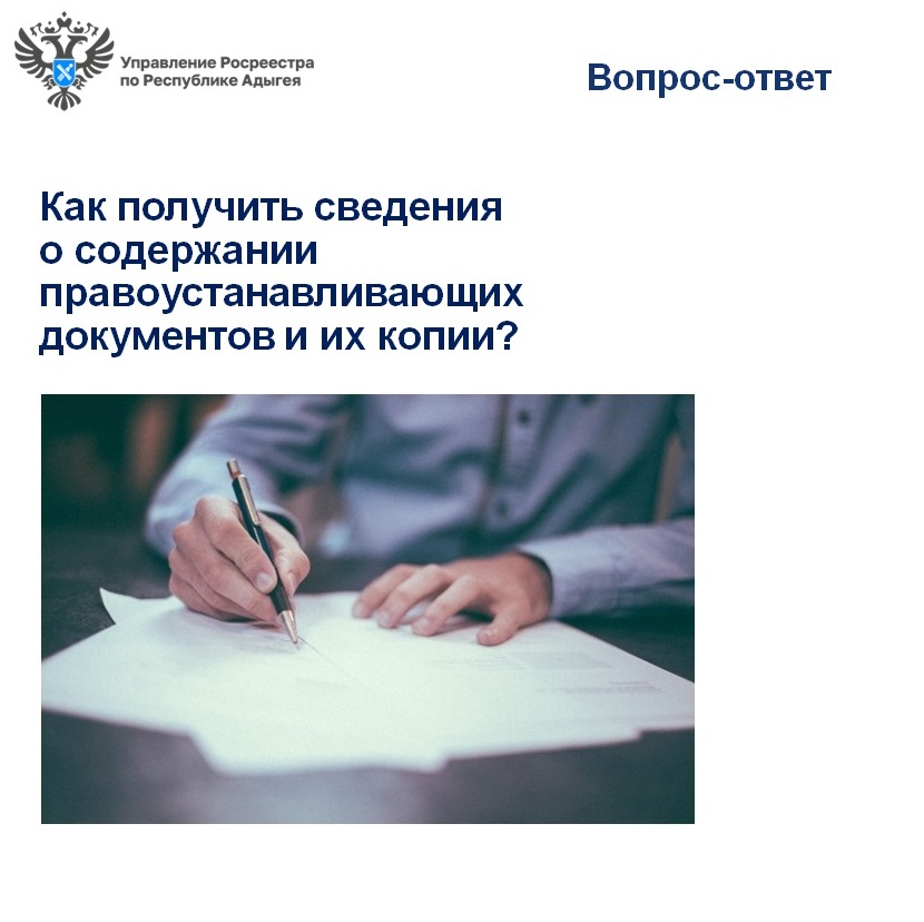 Информация правоустанавливающих документов. Виды копий документов. Экспертиза правоустанавливающих документов. Дело правоустанавливающих документов. Муниципальные документы об образовании.